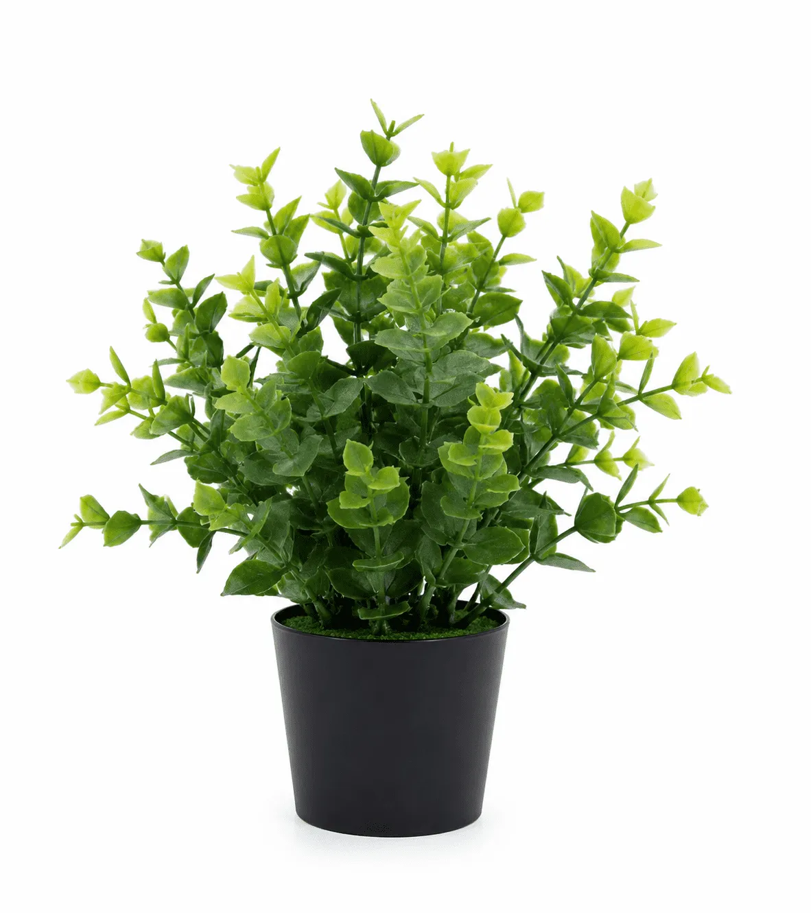 product img2
